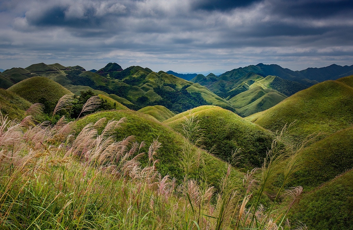 “Thiên đường cỏ lau” Đình Lập: Tiềm năng chưa được đánh thức “Thiên đường cỏ lau” Đình Lập: Tiềm năng chưa được đánh thức