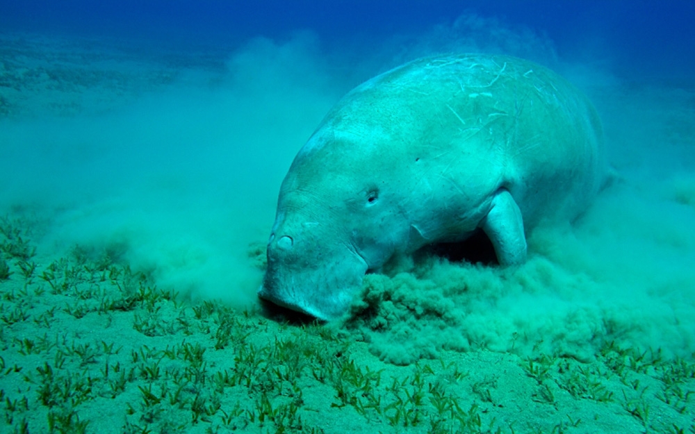 10 vườn quốc gia hấp dẫn nhất Việt Nam 10 vườn quốc gia hấp dẫn nhất Việt Nam