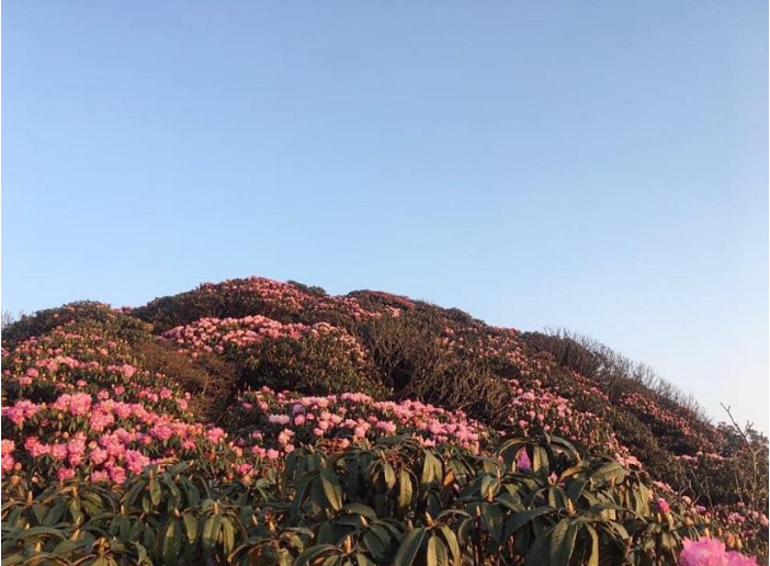 Chinh phục đỉnh Pu Ta Leng hùng vĩ