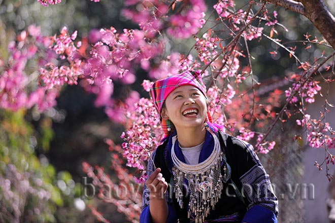 Mù Cang Chải: Tớ Dày nhuộm thắm non cao Mù Cang Chải: Tớ Dày nhuộm thắm non cao