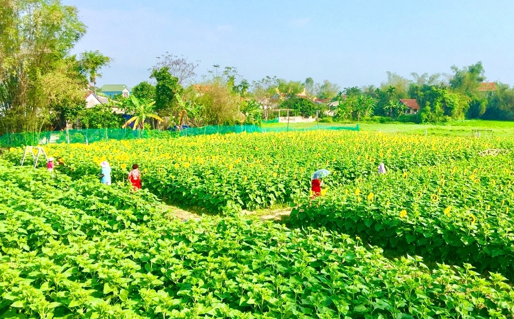 Cầu ngói Thanh Toàn Cầu ngói Thanh Toàn