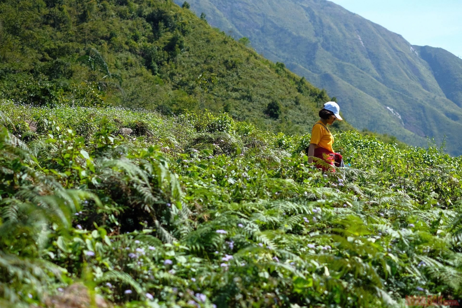 Tà Chì Nhù, cung đường chinh phục nóc nhà Yên Bái Tà Chì Nhù, cung đường chinh phục nóc nhà Yên Bái