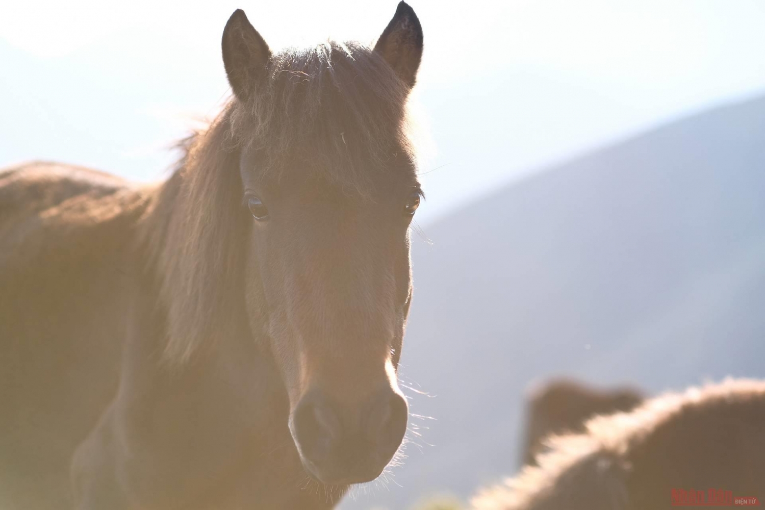 Tà Chì Nhù, cung đường chinh phục nóc nhà Yên Bái Tà Chì Nhù, cung đường chinh phục nóc nhà Yên Bái
