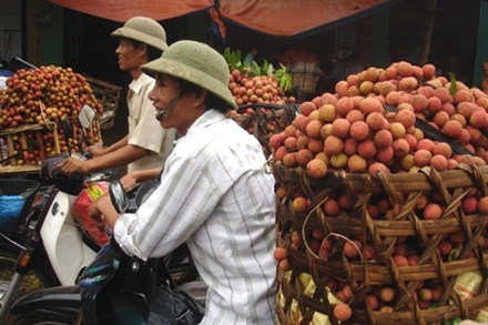 https://cdn.petrotimes.vn/stores/news_dataimages/dothuytrang/042013/15/19/IMG_1333.jpg