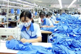 Doanh nghiệp đau đầu giải bài toán nguồn nguyên liệu