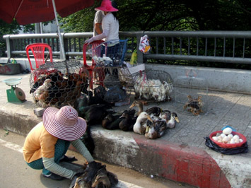 https://cdn.petrotimes.vn/stores/news_dataimages/dothuytrang/122013/24/16/IMG_1777.jpg