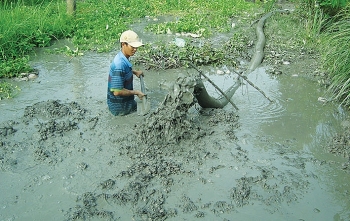 Cà Mau thành lập "ngân hàng đất" đầu tiên ở miền Tây