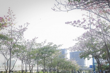 Thời tiết ngày 12/9: Miền Bắc sáng mát dịu