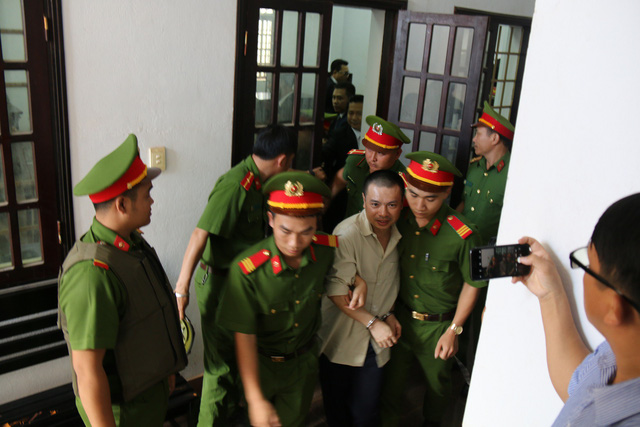 cong bo ket luan thanh tra toan dien cong ty mat 100 rung duoc giao