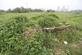 Ôm đất dự án rồi bỏ hoang 14 năm: Licogi lại muốn huy động 4.000 tỉ đồng