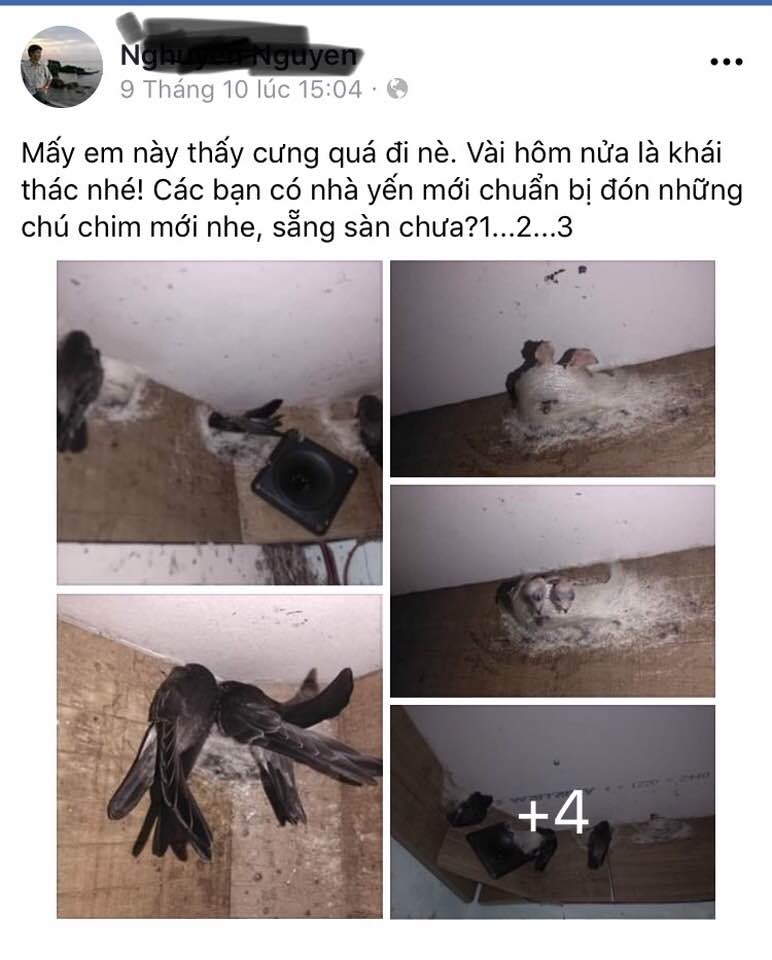 vu phu huynh xuc pham thay doi quan cho con vo chong deu hanh xu thieu van hoa