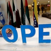 vo duong ong ecuador giam san xuat dau