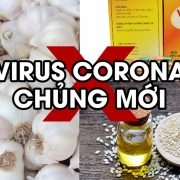 Bảo vệ thanh, thiếu niên khỏi tác động của việc quảng cáo và sử dụng thuốc lá bao ve thanh thieu nien khoi tac dong cua viec quang cao va su dung thuoc la