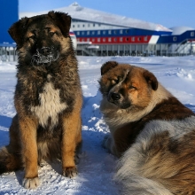 bac cuc co so tai nguyen chien luoc cua nga