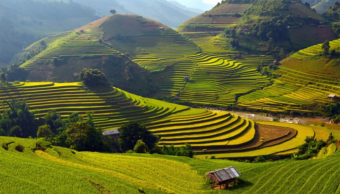 chuyen gia nga vi sao viet nam rat yen binh on dinh
