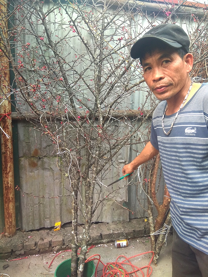 dao rung van nuom nuop ve pho