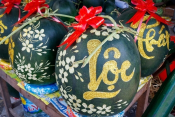 Dưa "khổng lồ" chưng Tết