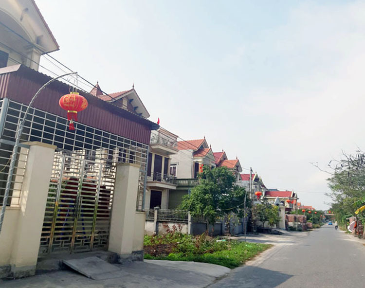 xa xuat khau co dau