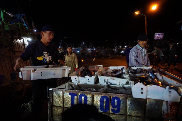 Trắng đêm mưu sinh ở cảng cá lớn nhất miền Trung - 3