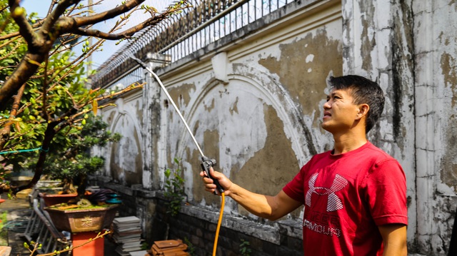Gian nan nghề cho thuê mai chơi Tết trong dịch Covid-19 - 5