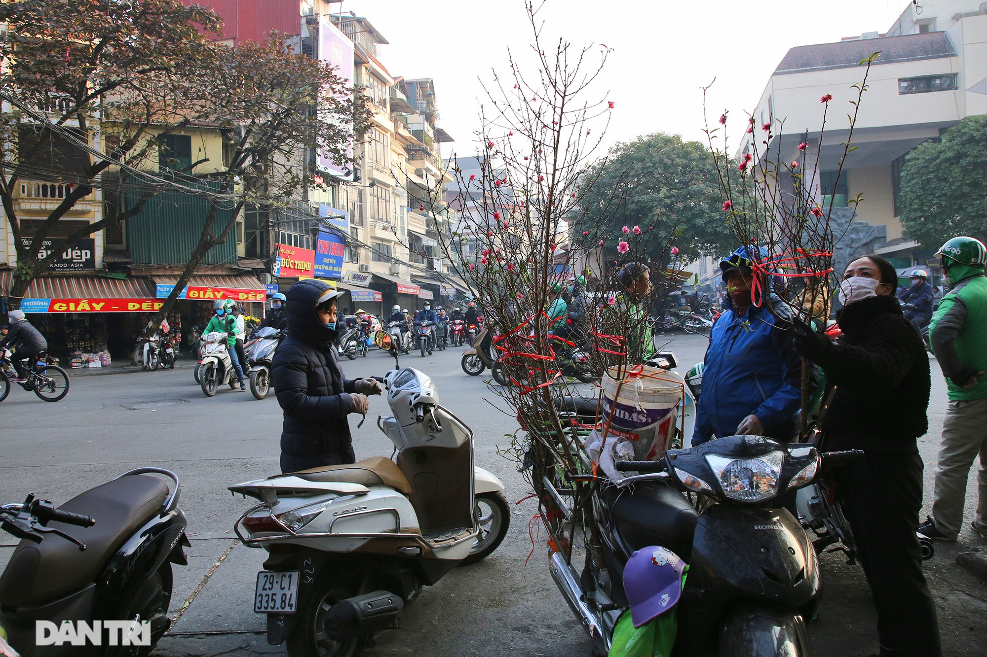 Đào sớm mang không khí Tết về trên đường phố - 1