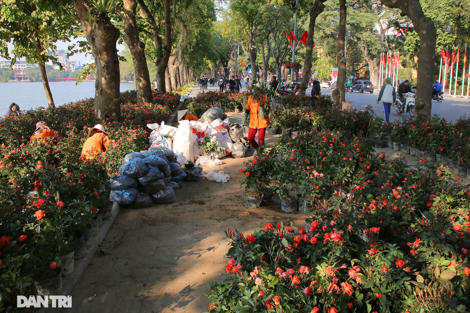 Hồ Gươm trang trí hoa rực rỡ sắc màu chào mừng Đại hội XIII của Đảng - 1