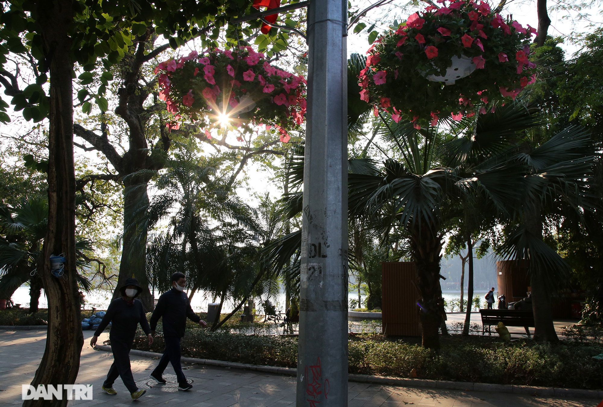 Hồ Gươm trang trí hoa rực rỡ sắc màu chào mừng Đại hội XIII của Đảng - 5