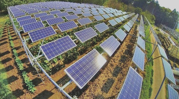 ác dự án điện mặt trời áp mái nhà trong năm 2020, đặc biệt là trong tuần cuối cùng của năm, đã khiến tình trạng không huy động các nhà máy điện mặt trời lớn càng trở nên trầm trọng.