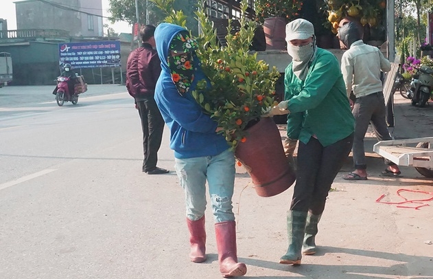 Lao động thời vụ căng sức làm việc, kiếm 300 nghìn/ngày ở các "vựa" hoa Tết