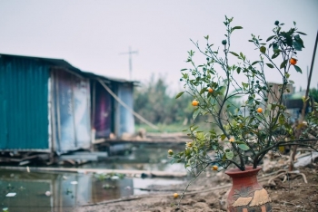 Những ngày cận Tết ở “xóm nhà phao”