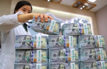Quý Mão 2023, Việt Nam sẽ dẫn đầu tốc độ tăng trưởng trong khu vực