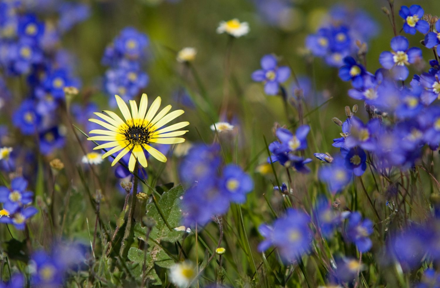 tu vi ngay 1222020 tuoi thin tin may bao ve tuoi hoi su nghiep tien trien