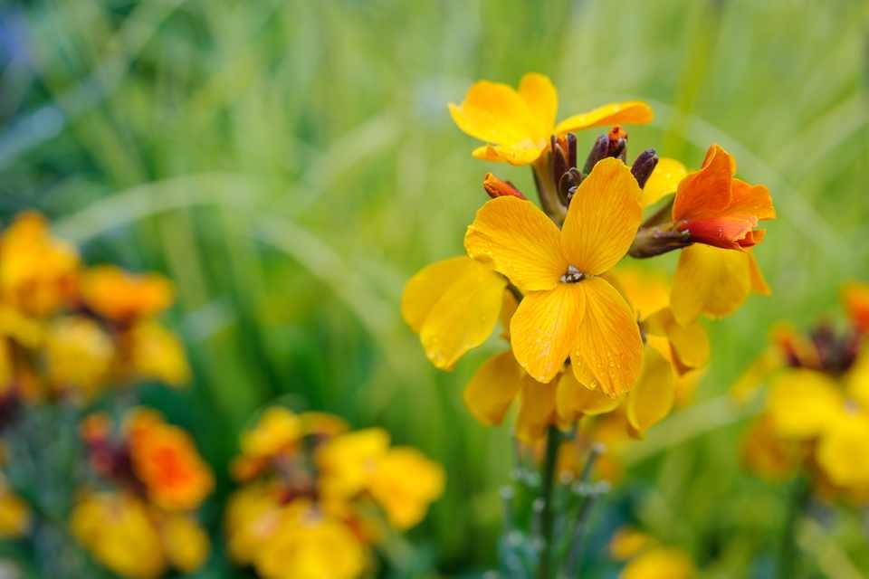 Tử vi tuần mới 12/7  18/7: Tuổi Sửu tiền bạc rủng rỉnh, Tuất việc không như ý