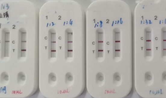 Tin tức thế giới 17/2: Trung Quốc phát triển bộ xét nghiệm Covid-19 cho kết quả trong 15 phút
