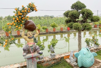 Những mẫu cây cảnh độc đáo hút khách dịp Tết Nguyên đán Tân Sửu