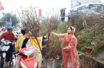 Dự báo thời tiết Tết Nguyên đán (5-16/2): Bắc Bộ và Bắc Trung Bộ mưa to trước Tết