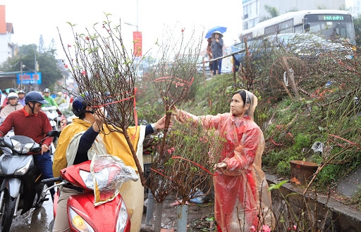 Dự báo thời tiết Tết Nguyên đán (5-16/2): Bắc Bộ và Bắc Trung Bộ mưa to trước Tết Dự báo thời tiết Tết Nguyên đán (5-16/2): Bắc Bộ và Bắc Trung Bộ mưa to trước Tết