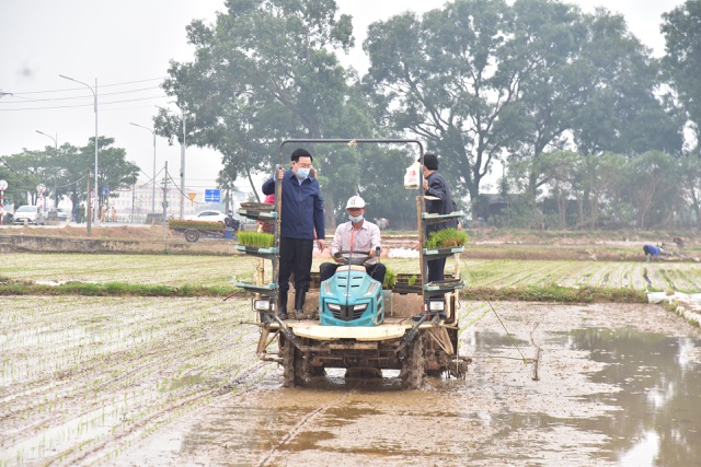 Bí thư và Chủ tịch TP Hà Nội xuống đồng cấy lúa, động viên nông dân - 2