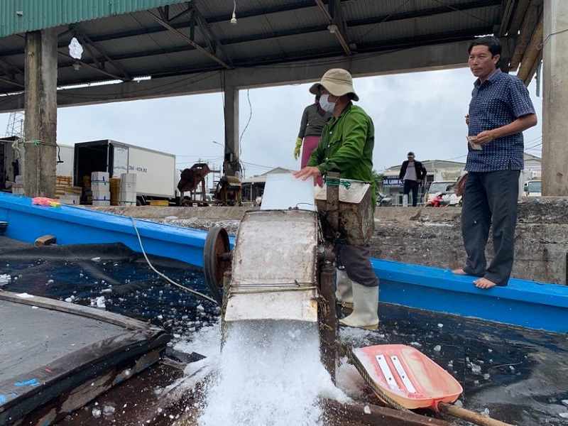 Quảng Ngãi rộn ràng phiên biển ngày xuân