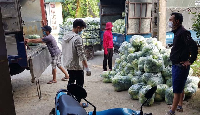 Nông sản Hải Dương: Vì sao Hải Phòng cấm cửa, Hà Nội rộng đường chào đón? - 2