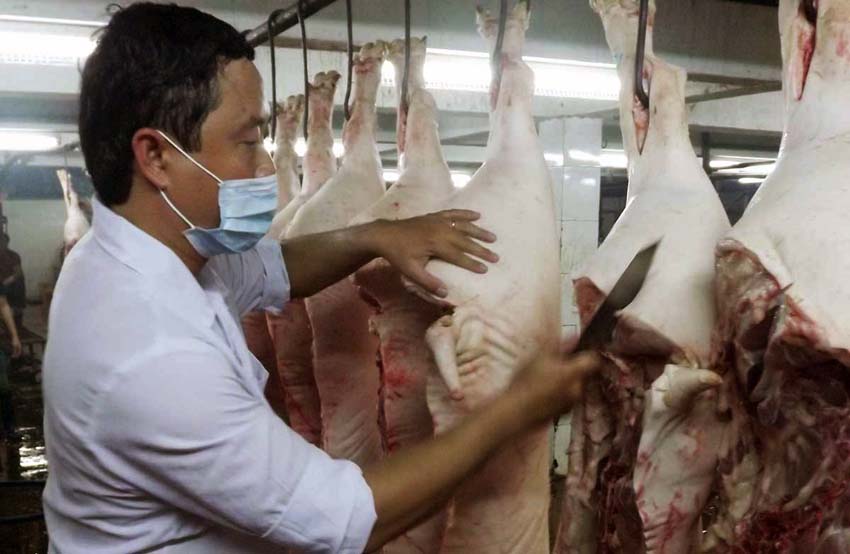 Vụ thịt lợn “bẩn” ở Chương Mỹ: Lực lượng quản lý thị trường nói gì?