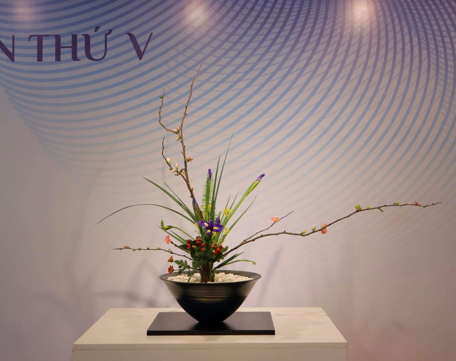 Triển lãm Ikebana Hà Nội lần thứ 5: Vẻ đẹp và sự hài hòa