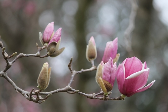 tu vi ngay 732020 tuoi than dung truoc lua chon tuoi tuat can phai than trong