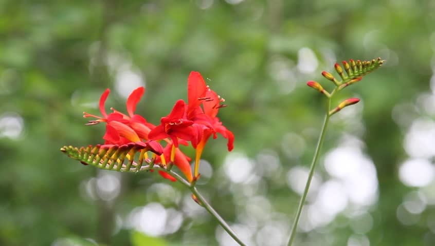 Tử vi ngày 10/11/2022: Tuổi Dần dẫn dắt tập thể, tuổi Mùi cần thực tế hơn Tử vi ngày 10/11/2022: Tuổi Dần dẫn dắt tập thể, tuổi Mùi cần thực tế hơn