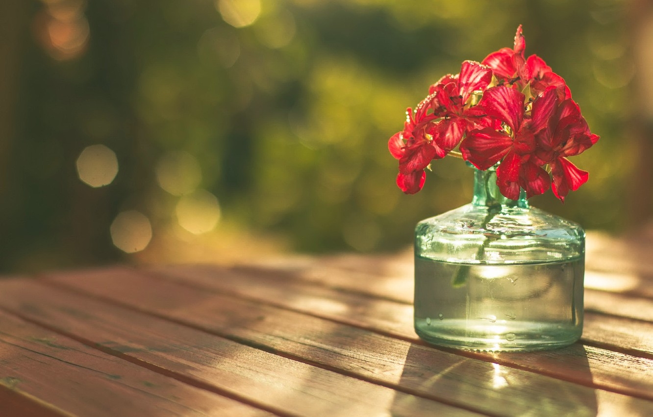 Tử vi ngày 11/11/2022: Tuổi Thìn cảm xúc thất thường, tuổi Hợi cơ hội kiếm tiền