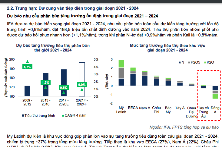 Dự báo