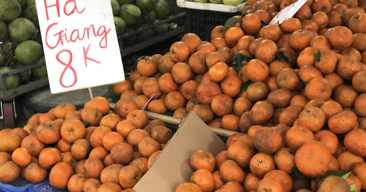 Cam sành đặc sản giá siêu rẻ 8.000 đồng/kg, tiểu thương tiết lộ sự thật