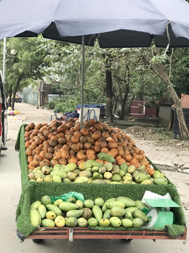 Cam sành đặc sản giá siêu rẻ 8.000 đồng/kg, tiểu thương tiết lộ sự thật - 3