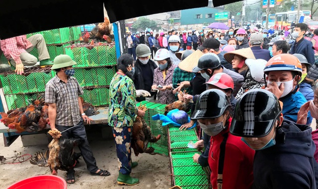 Sau rau củ quả, đến lượt giải cứu gà đồi Hải Dương 55.000 đồng/kg - 1