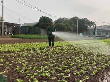 Bắt mạch yếu điểm ngành nông nghiệp Thủ đô